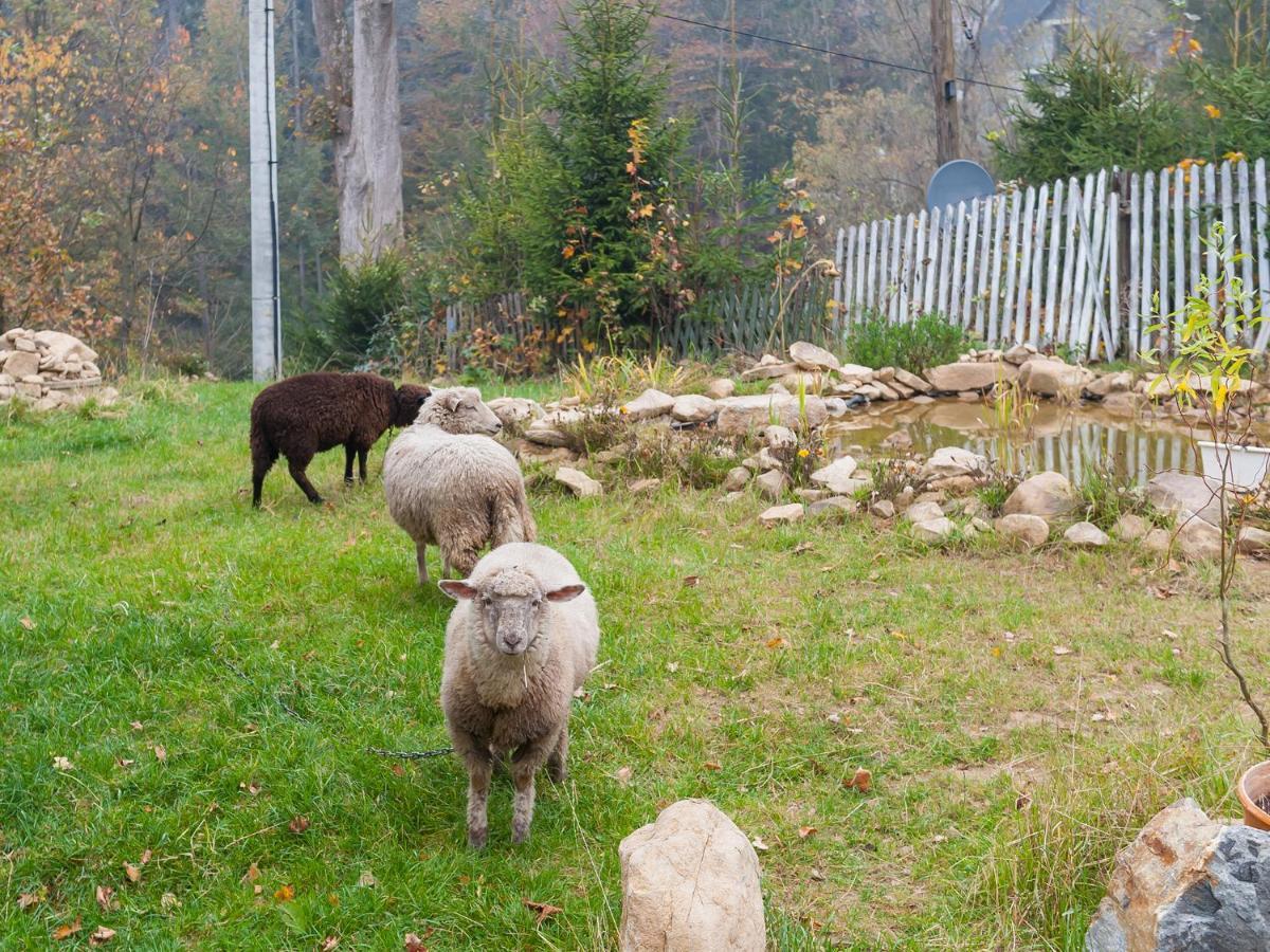 Homestay Ziolowy Dworek